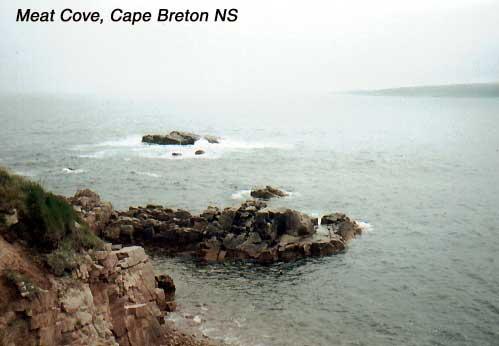 meatcove 