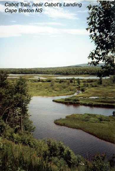 nearcabotslanding-1 