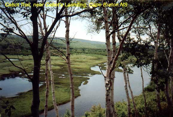 nearcabotslanding-2 
