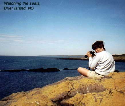 rt-brierisland 