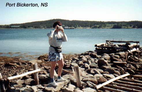 rt-portbickerton-2 Ruth enjoyed the sights from behind our lodging.