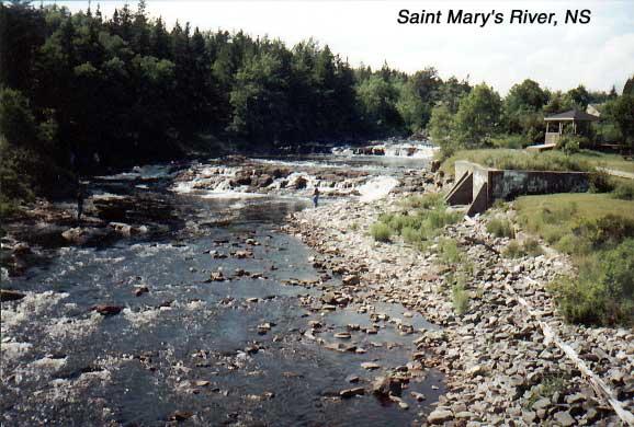stmarysriver 
