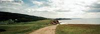 14-whalecove 