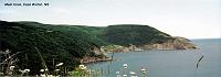 2-meatcove 