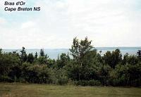 brasdor-2 
