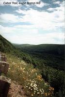 cabottrailflowers 