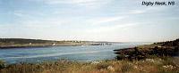 digbyneck-2 