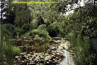 histgarden-13 