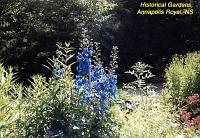 histgarden-8 
