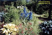 histgarden-9 