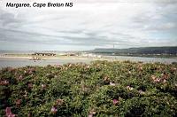 margaree-2 