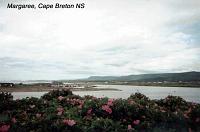 margaree-5 