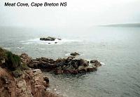 meatcove 