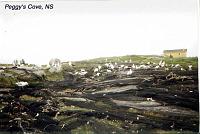 peggysgulls 