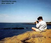 rt-brierisland 