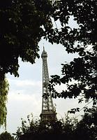 Eiffel_tower_thru_trees