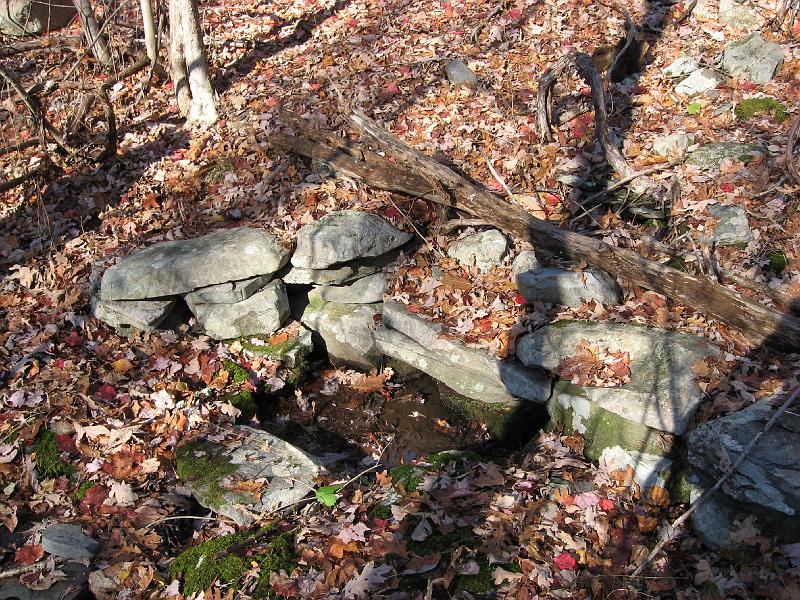 IMG_0651 This is the spring that we had access rights to just off our land in Pennsylvania's Pocono Mountains .  The rock basin made for it over 50 years ago has filled with leaves and silt. We bought our land in 1956 and built a 16 x 20 foot cabin on it, but lost it all 10 years later to eminent domain for the never-built Tocks Island Dam.