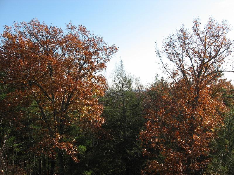 IMG_0660 View from our ledge. The hill crest beyond the trees is the Kittatiny Mountain Range across the Delaware River, in New Jersey.