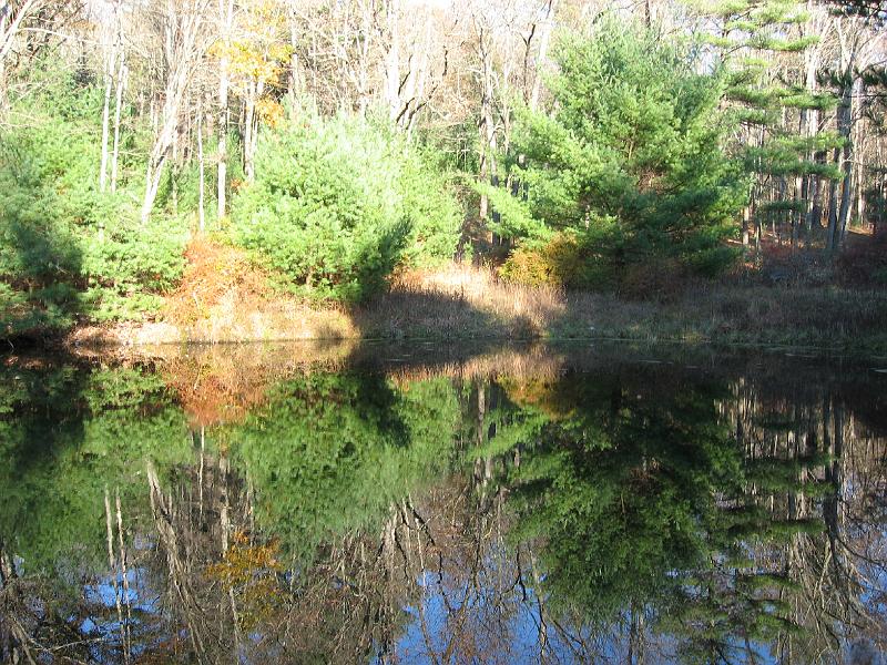 IMG_0671 The Arnold family's pond at the road and where our access drive began.