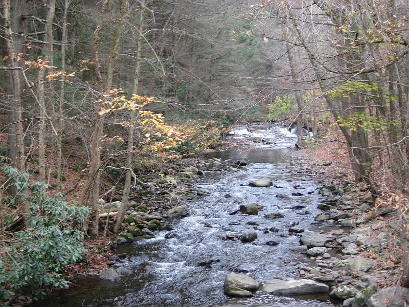 IMG_0704 Lower Dingman's creek, as we walked up to Dingman's and Silver Thread Falls.
