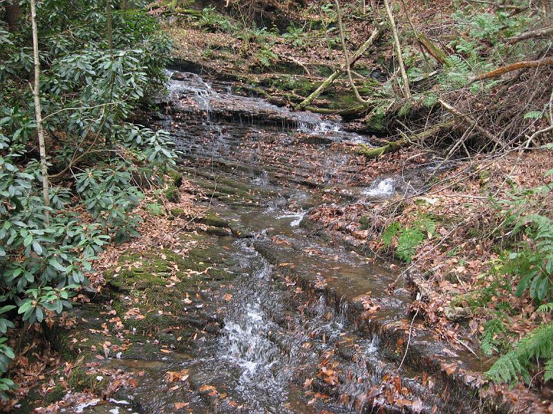 IMG_0717 A small stream that also feeds into Dingman's Creek.