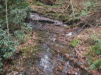 IMG_0717 A small stream that also feeds into Dingman's Creek.