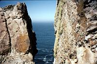 32-lichens_and_Pacific 