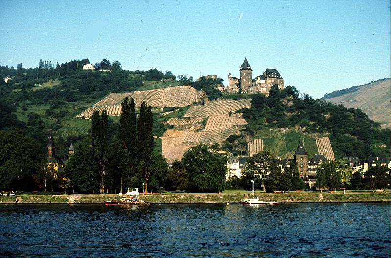 river_castle_vineyards 