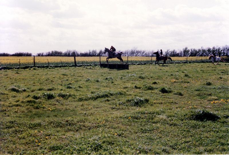 2 They had us jumping by the end of the lesson.