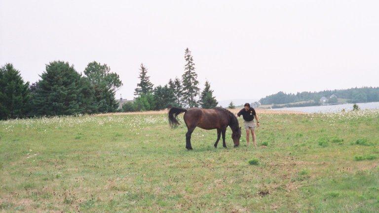 olson-field-dan Here I am with the friendly free-ranging mare that was part of the exhibit.