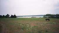 olson-field The Olson's field and the bay behind where Wyeth stood while painting 