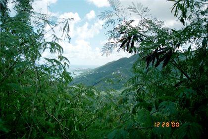sjvi1 Views around St. John, U.S. Virgin Islands