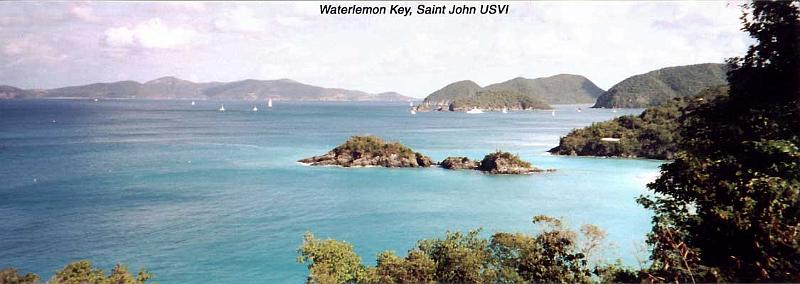 waterlemon-pano 
