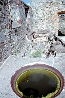 sjvi8