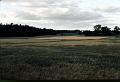 farm_fields