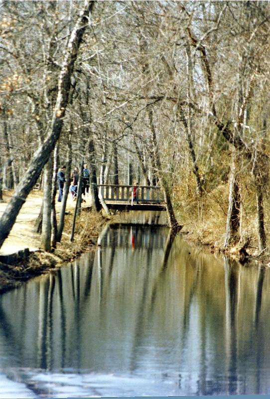 05 Mathilda scampers across the bridge.