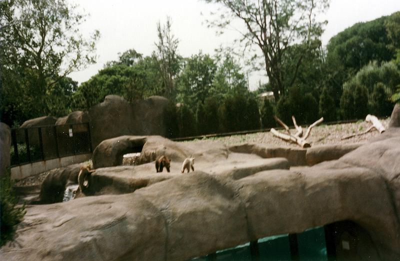 20 Bears