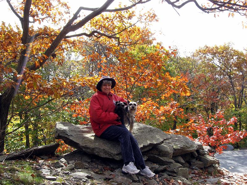 IMG_1036 A better look at them.