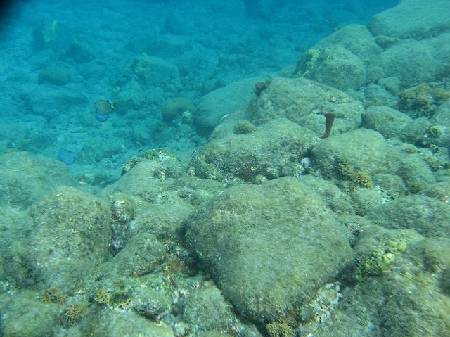 IMG_2234.JPG