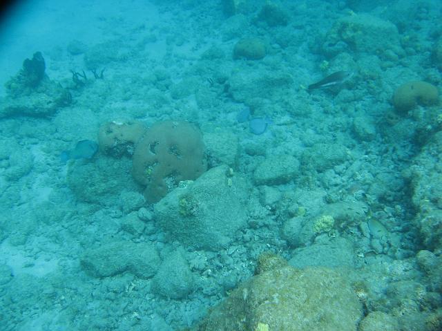 IMG_2235.JPG