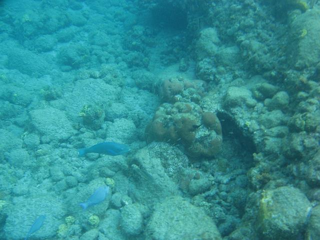 IMG_2236.JPG