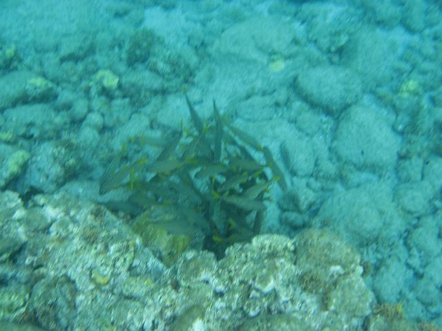 IMG_2238.JPG