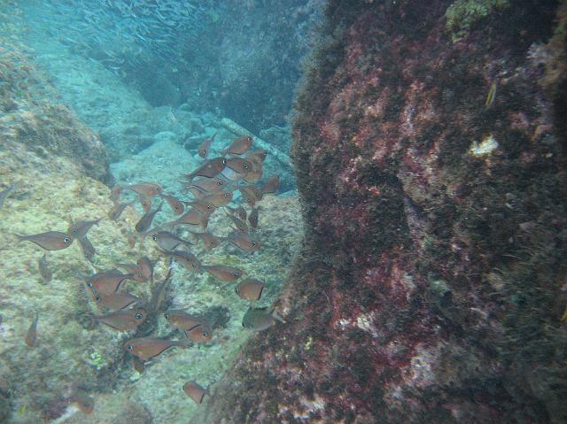 IMG_2242.JPG