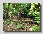 IMG_3978