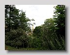 IMG_3987