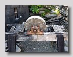 IMG_3999