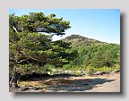 IMG_4016
