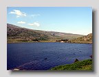 IMG_4028