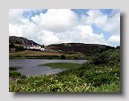 IMG_4037