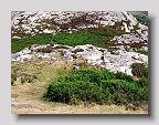 IMG_4054